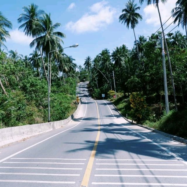 หมู่เกาะทะเลใต้