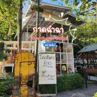 ตลาดฉำฉา : กาดชุมชนโหล่งฮิมคาว สันกำแพง เชียงใหม่