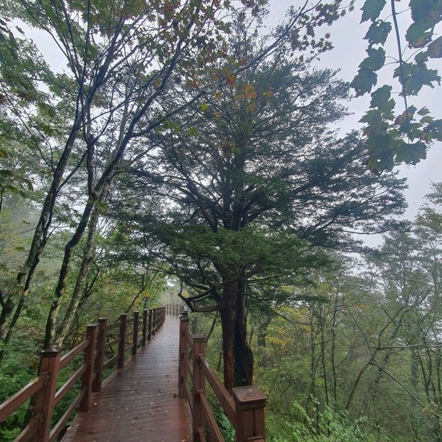 평창. 진부의 발왕산, 오대산 월정사 여행