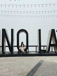 Pino late โซนใหม่