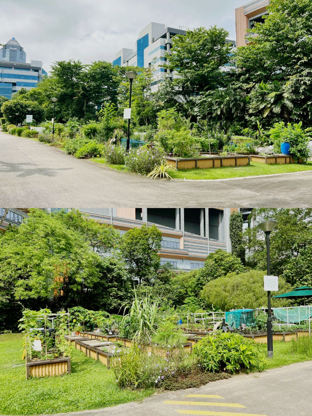 A Day at HortPark: Singapore’s Gardening Haven