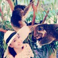 Caversham Wildlife Park in Perth is a must-visit for animal lovers 