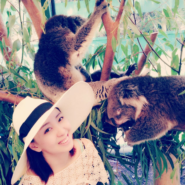 Caversham Wildlife Park in Perth is a must-visit for animal lovers 