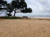 "Escape to Desaru: A Perfect Blend of Sun, Sea, and Adventure"