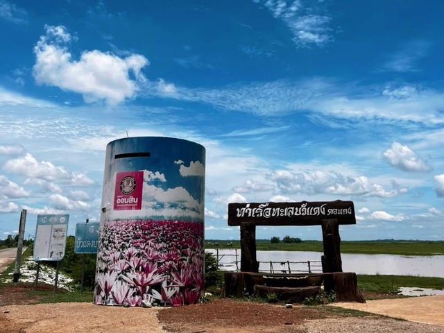 ทะเลบัวแดง