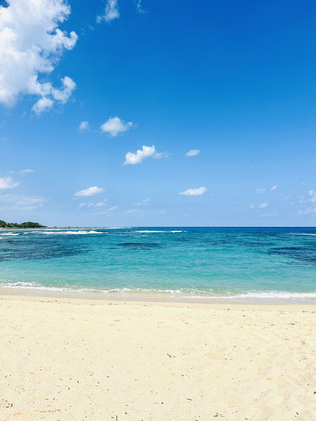 【奄美大島】土盛海岸