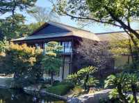名古屋德川園-經典的日本庭園，環境精緻優美