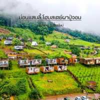 หนาวนี้ ไปนอนเต๊นท์ดูหมอกที่เชียงใหม่กัน
