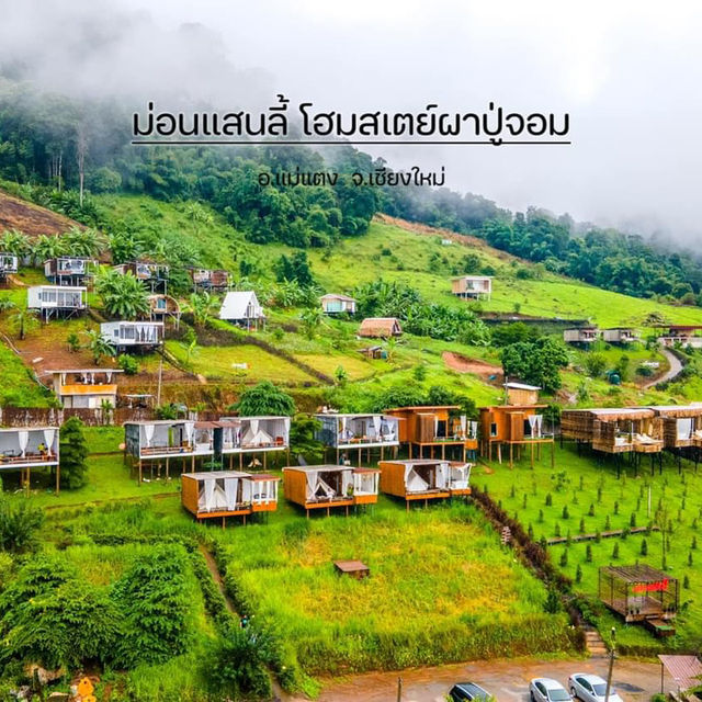 หนาวนี้ ไปนอนเต๊นท์ดูหมอกที่เชียงใหม่กัน