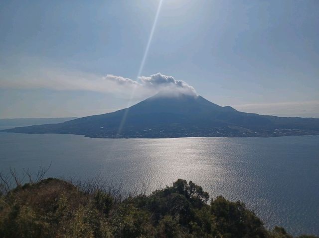 【鹿児島県立吉野公園:鹿児島市】綺麗なお花が咲く広大な公園🌳