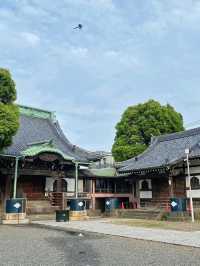 東京懷舊之旅——柴又帝釋天的文化與歷史探索🛤️