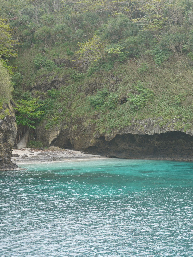 小笠原諸島｜フェリー2時間30分、母島1day trip🚢