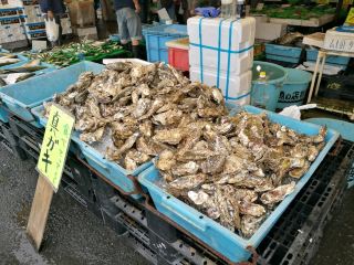 茨城 有美味烤海膽和岩牡蠣的那珂湊漁港！
