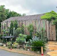 คาเฟ่กาญจนบุรี •  CHAN nature cafe'🌵🌾