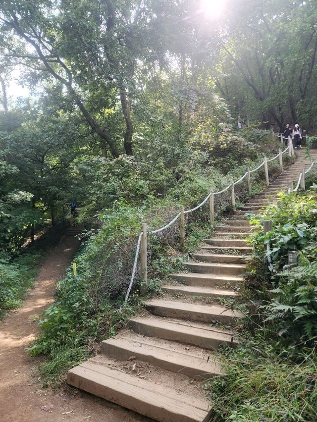 🤍날 좋은 가을 등산데이트하기 좋은 서울근교 산, "청계산"🤍