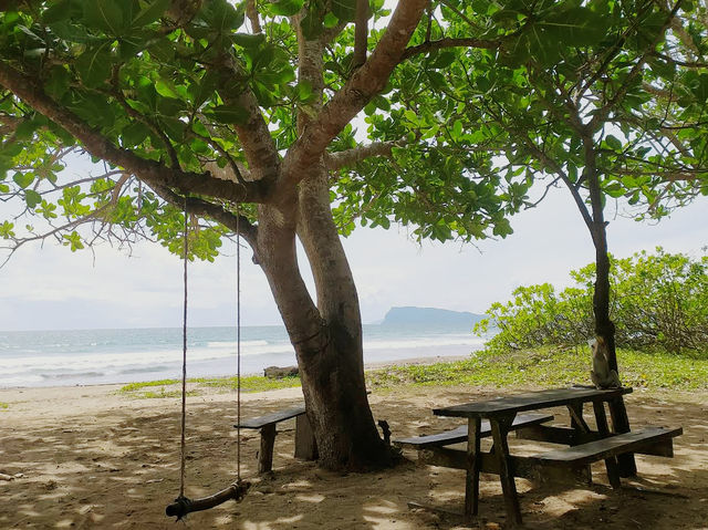 Alas Purwo National Park
