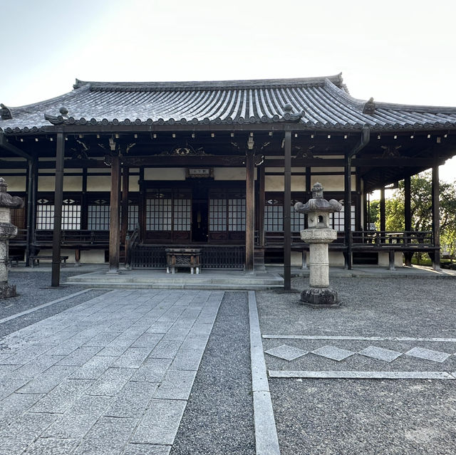 Matcha-lover town