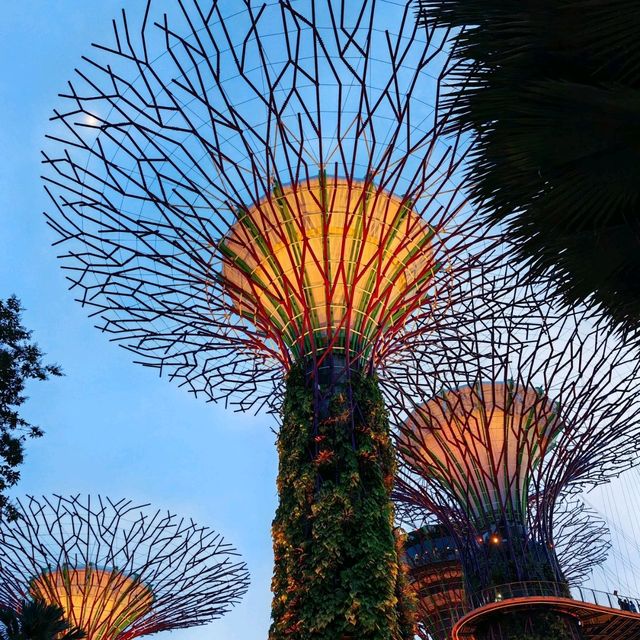 Singapore - the lion city with full of miracles!