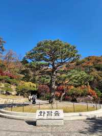 👍 🍃인간과 자연의 조화 힐링 화담숲 🌼