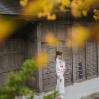 ⛩️日本米子白免神社（よなごしろめじんじゃ）🎎