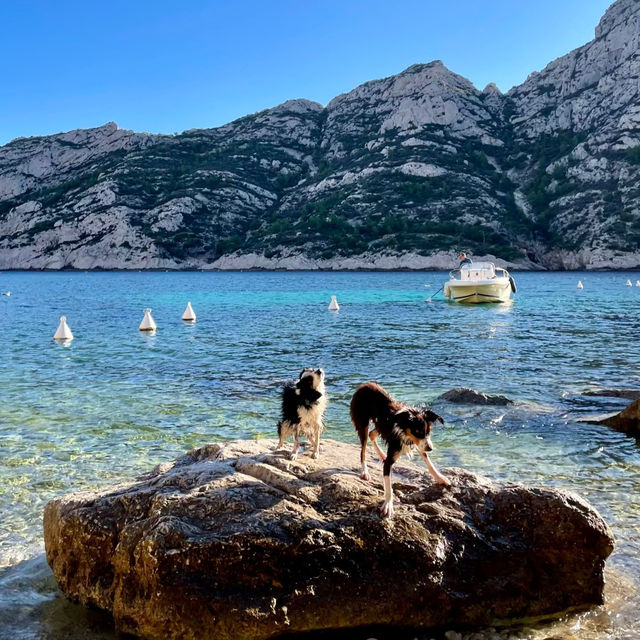 Campbell's Cove～海岸邊的悠閒時光 🌊🏖️