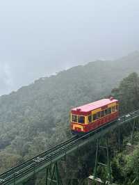 อัพเดท 2024 1Day Bana hills Danang Vietnam 