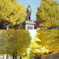 賞銀杏勝地
