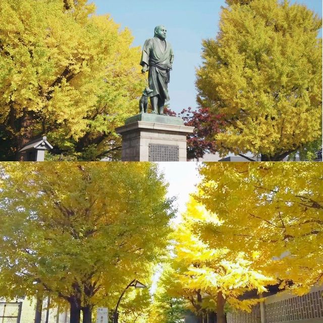賞銀杏勝地