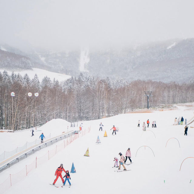 เที่ยวฮอกไกโด⛰️❄️