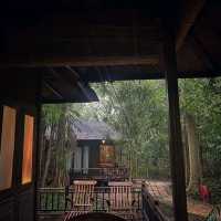  Unraveling the Emerald Isle: A Blissful Havelock Island Getaway