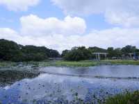 香港生態公園：米埔濕地