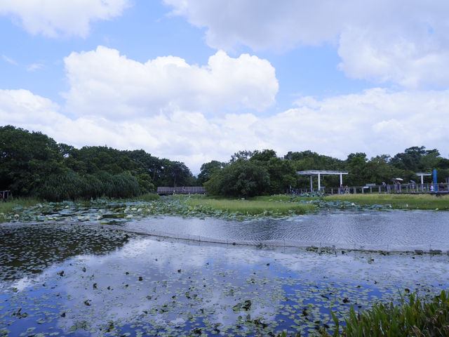 香港生態公園：米埔濕地