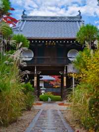 【紅葉特集】窓越しに見る紅葉🍁「そうだ 京都、行こう。」の舞台にもなった禅を感じるスポット✨