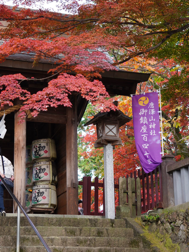 【栃木×佐野】 るろうに剣心のロケ地としても有名  紅葉 猫にも出逢える神社