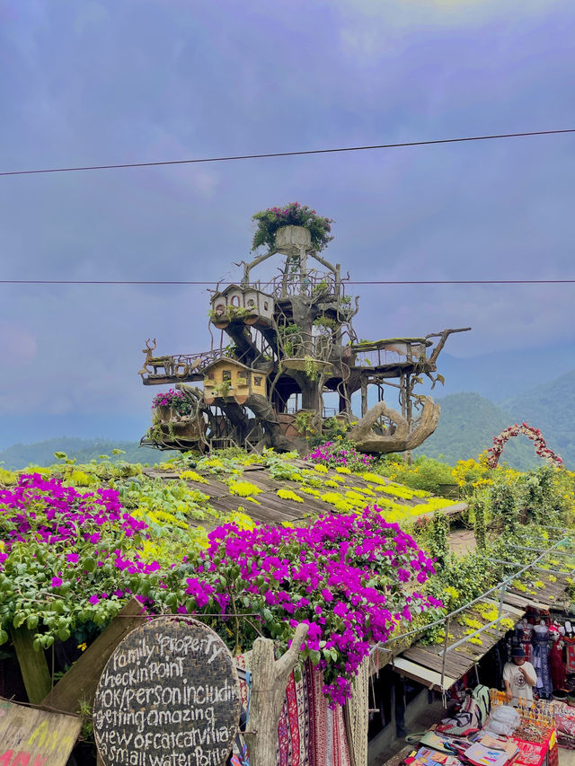 🇻🇳베트남의스위스 사파 4박5일 여행코스공유🌿