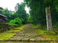 【福井県】兵どもが夢の跡…を感じる苔の名所「平泉寺白山神社」