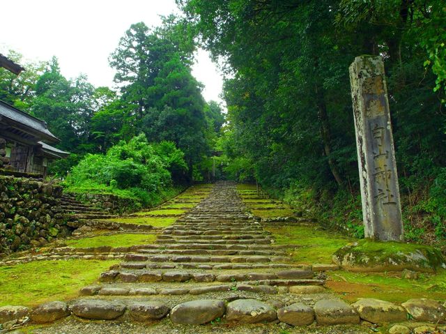【福井県】兵どもが夢の跡…を感じる苔の名所「平泉寺白山神社」