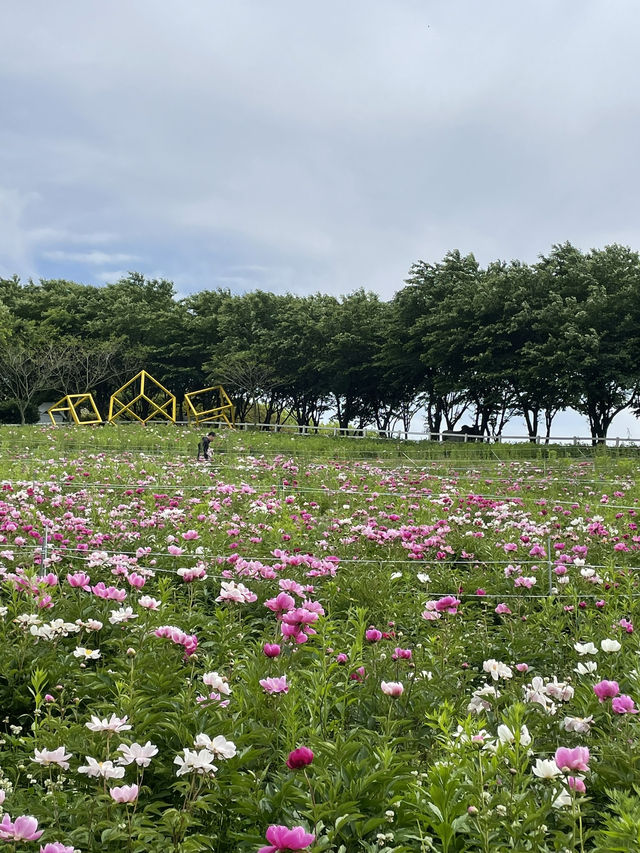 당진 근처 푸릇한🌱목장! 아그로랜드 태신목장