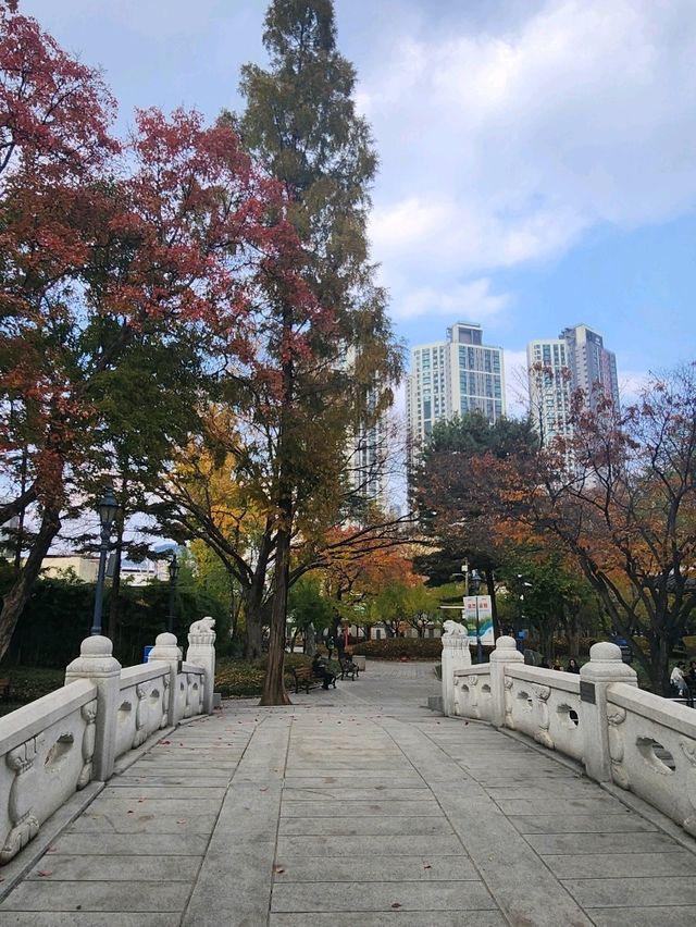 연인과 가을에 힐링하기 좋은 경상감영공원🍂