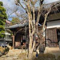 有馬溫泉區〔念佛寺〕與〔極樂寺〕的靜謐之美**