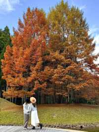 【奈良】自然とアートが融合した公園