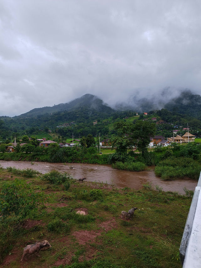 Sapan in rainy season.Nan province,Thailand