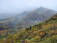 Tsugaike Nature Park