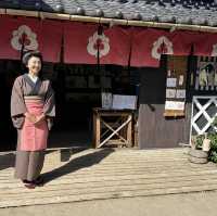 Edo wonderland 
