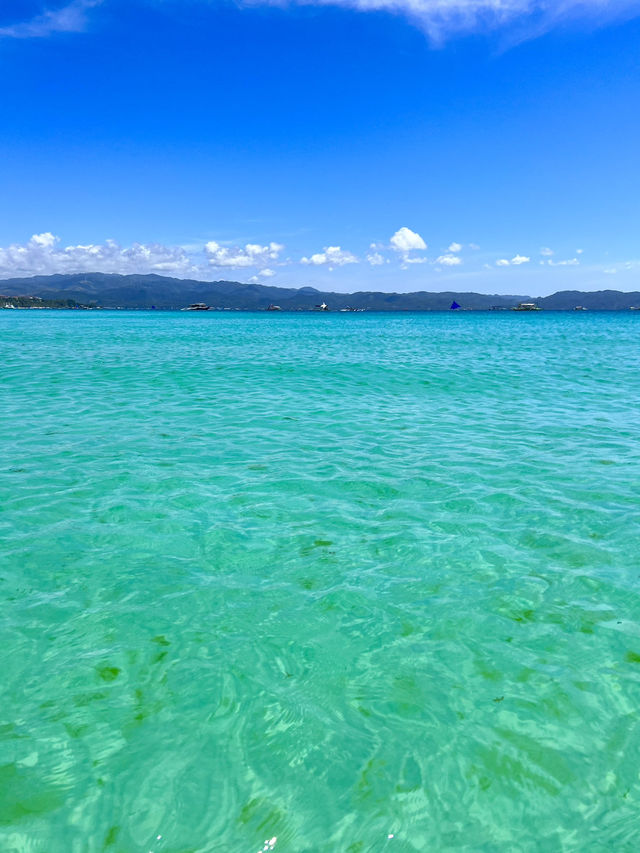 The glass boat ride in Boracay🐠