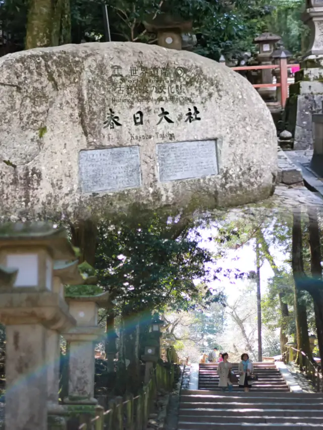 Spring Serenity at Kasuga Taisha: Where History Meets Nature