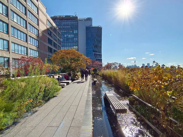 2024旅行回顧✨ 漫步於紐約高架公園 ✨🌳