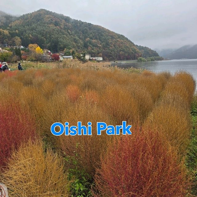  Oishi Park.