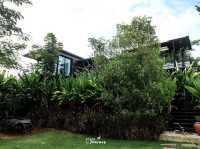 Limon Villa ที่พักเขาใหญ่สุดชิล ท่ามกลางขุนเขา