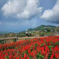 ถ่ายรูปสวย ที่ยิ่งยงสวนดอกไม้ จ.เชียงใหม่
